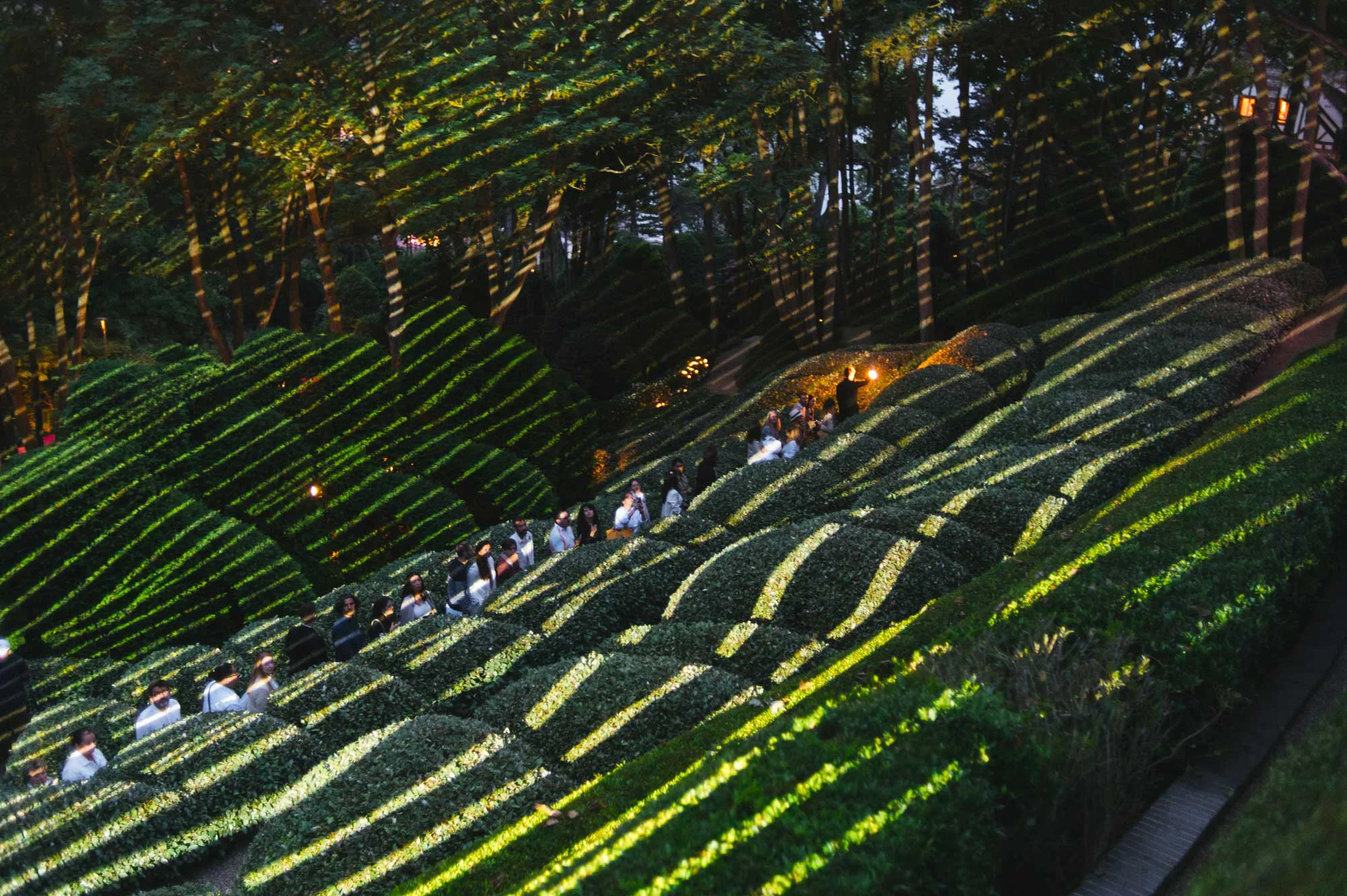Les Jardins de Lumière — Étretat